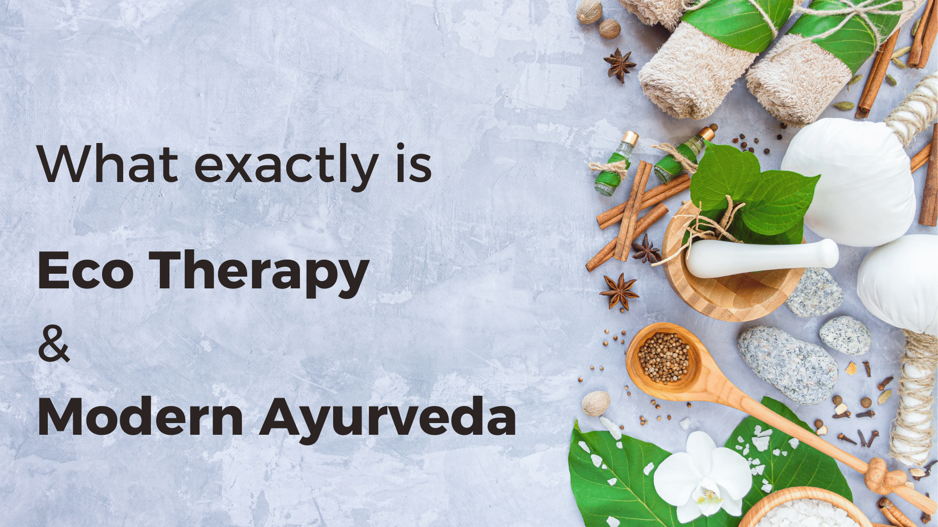 Breaking down the concepts of Eco Therapy & Modern Ayurveda