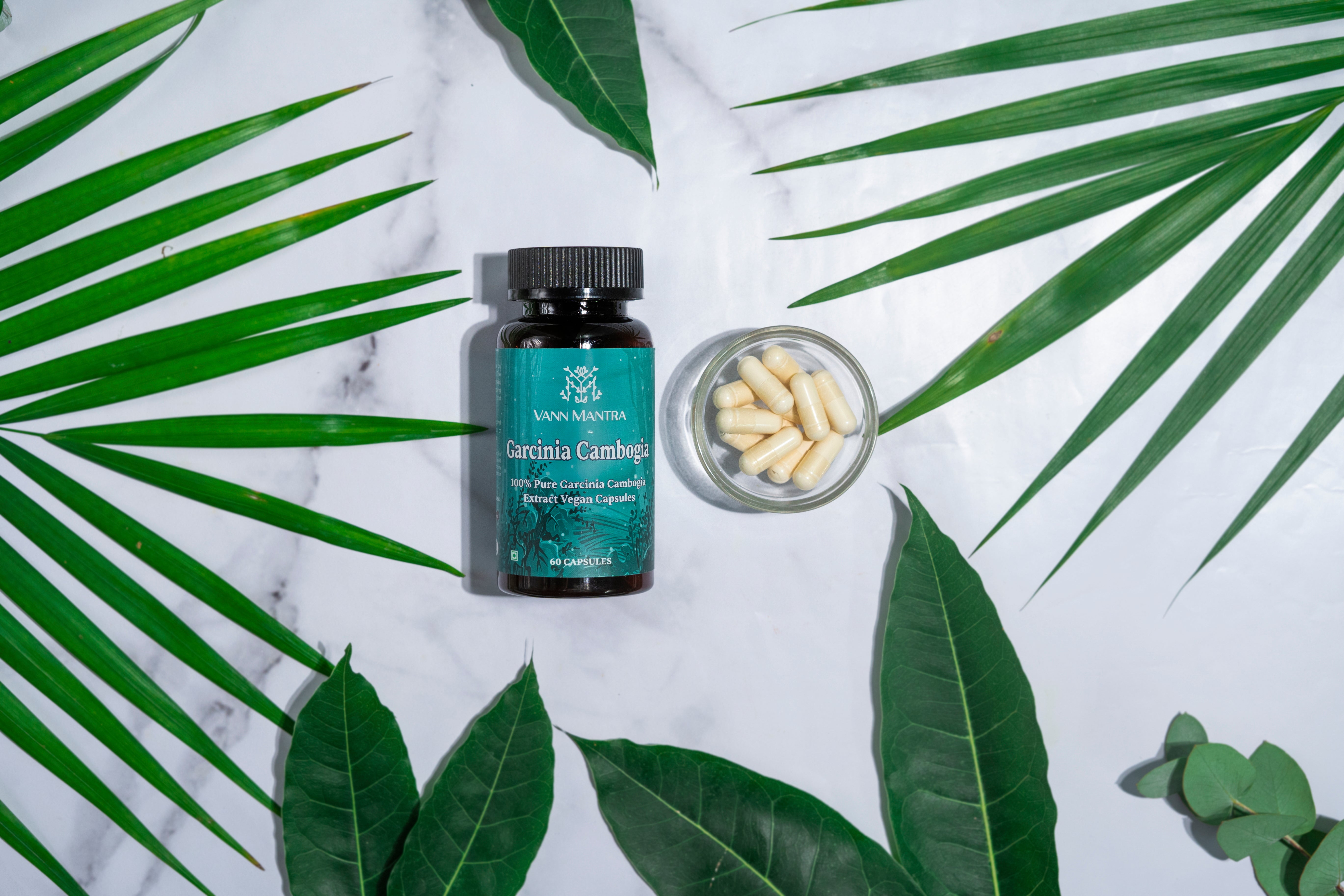 Infographic explaining the features and benefits of Garcinia Cambogia Capsules.